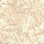 перлена боя,VIERO,ВИЕРО,ДЕКОРАТИВНА МАЗИЛКА,миеща боя,на водна основа,перлени отблясъци,антитоксично,Lumiere