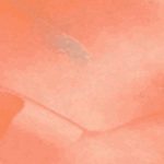 перлена боя,VIERO,ВИЕРО,ДЕКОРАТИВНА МАЗИЛКА,миеща боя,на водна основа,перлени отблясъци,антитоксично,Lumiere
