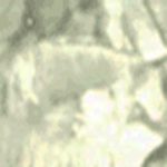 перлена боя,VIERO,ВИЕРО,ДЕКОРАТИВНА МАЗИЛКА,миеща боя,на водна основа,перлени отблясъци,антитоксично,Lumiere